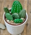 Step by Step Crafts with Louise: Cactus Painted Stones: A Prickly Affair: All Ages